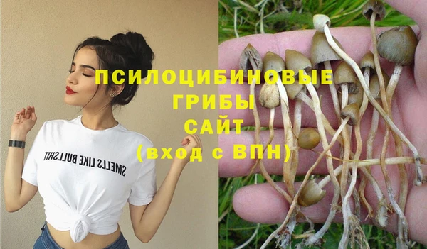 экстази Алексеевка