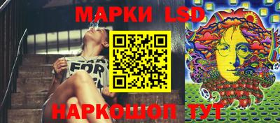 мяу мяу мука Гатчина