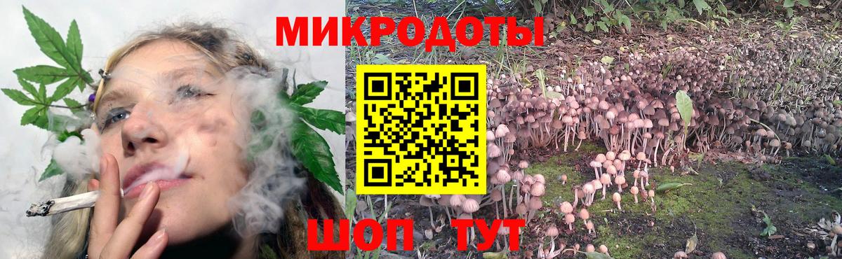 Протвино  наркота  Псилоцибиновые грибы Cubensis  Вход с VPN  Галлюциногенные грибы мухоморы 